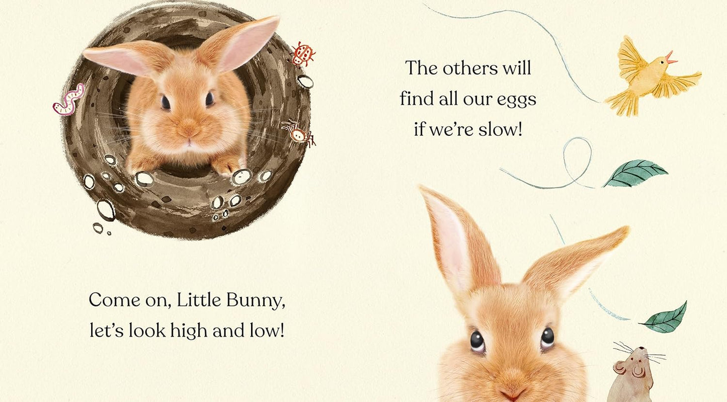 Happy Easter Little Bunny - Board Book