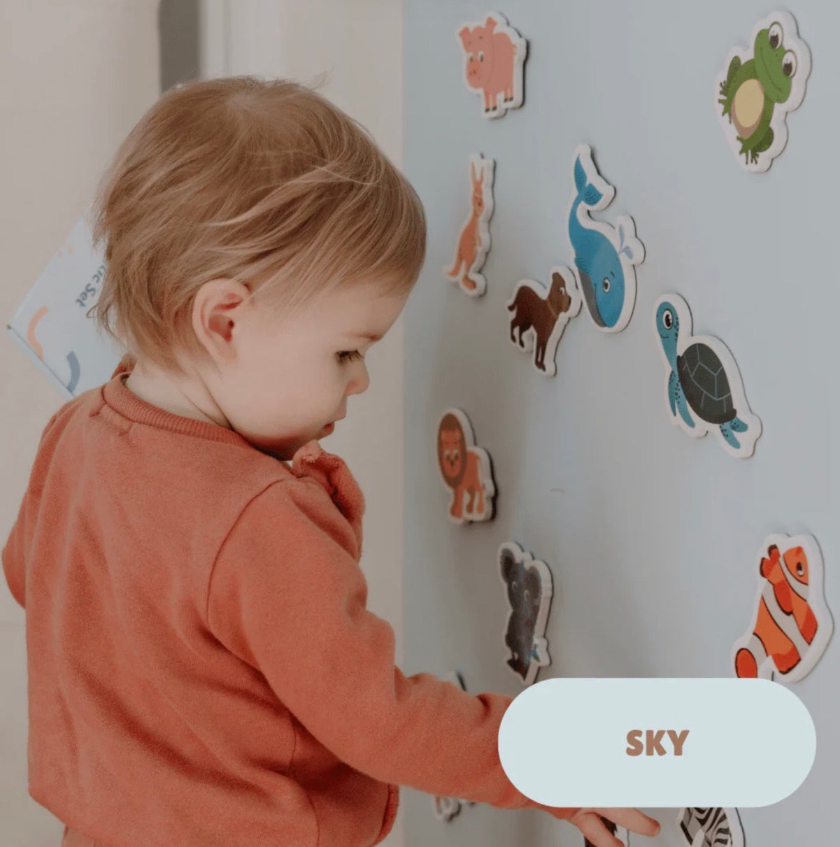 MagPlay Magnetic Wall Decal 2.0 WallKind™