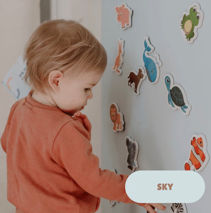 MagPlay Magnetic Wall Decal 2.0 WallKind™