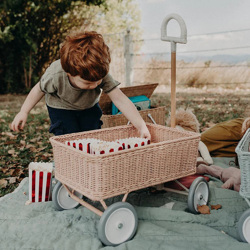 Rattan Wonder Wagon - Various Colours