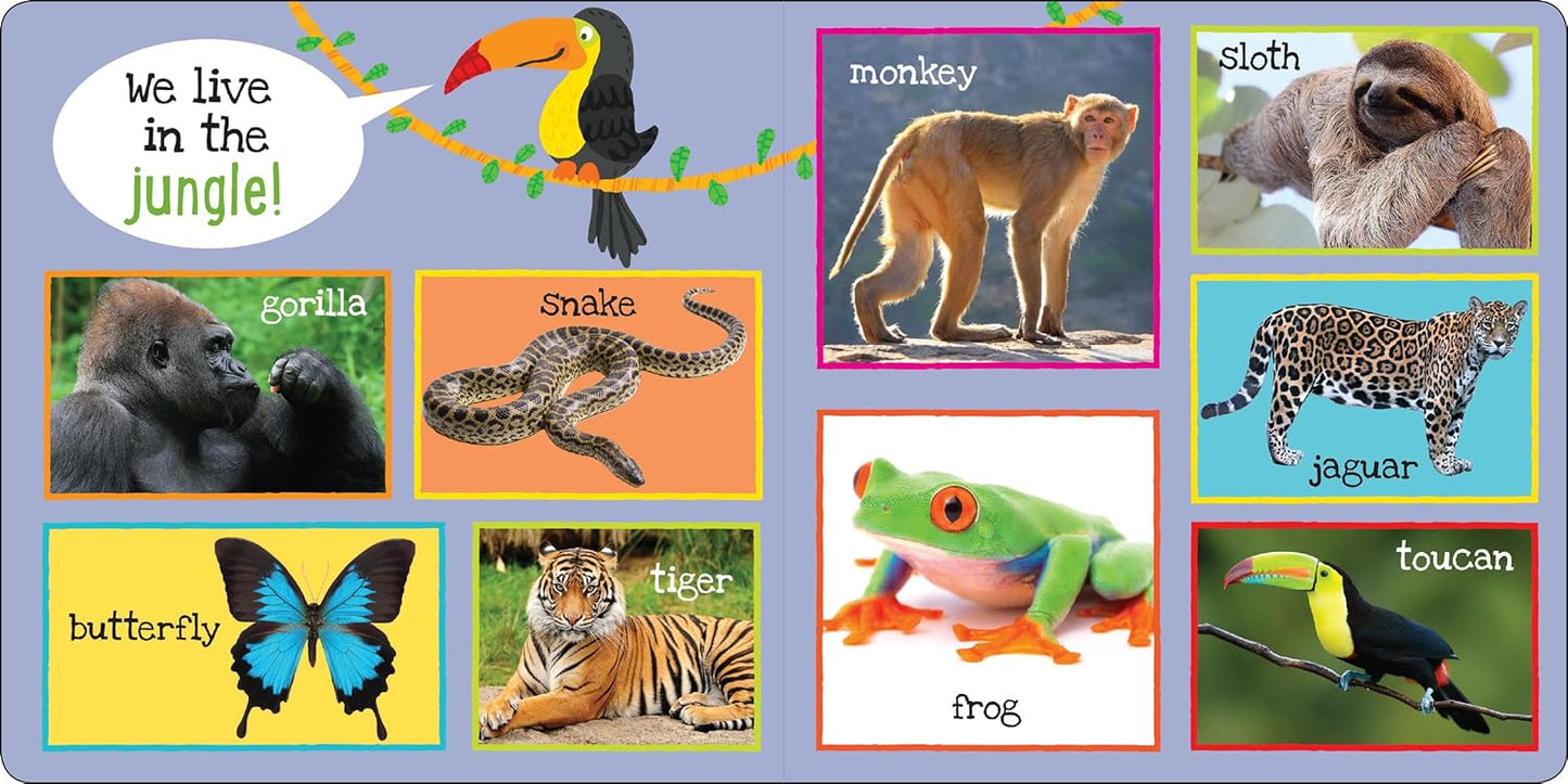 My First 101 Animals - Board Book