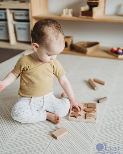 Chunky Shape Puzzle