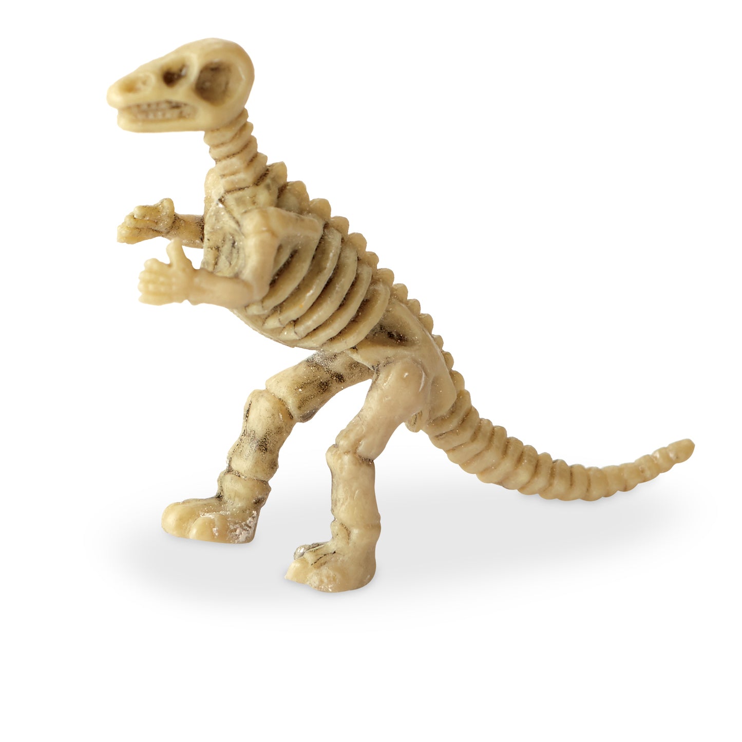 Dig It Up! Dinosaur Skeletons