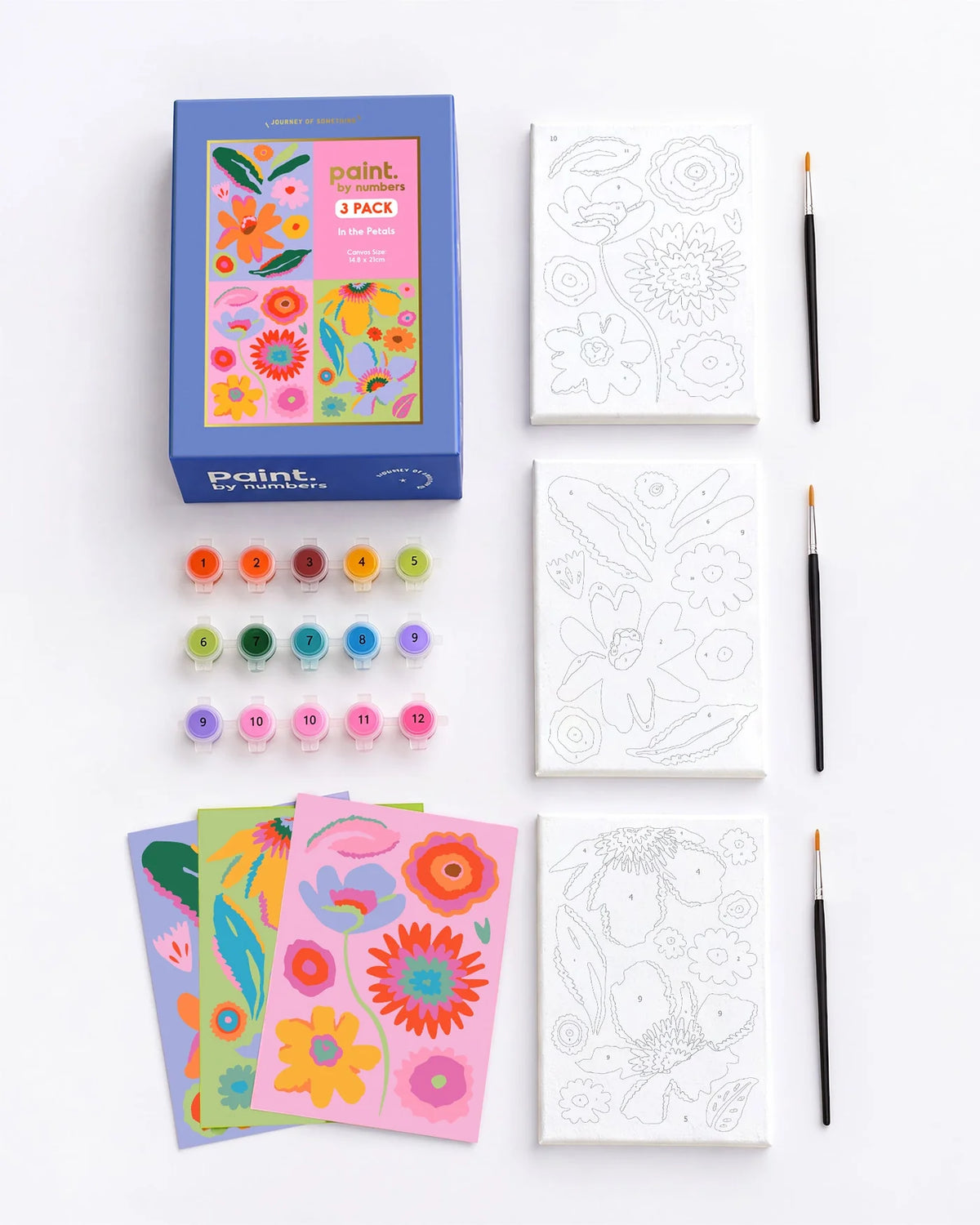 PAINT BY NUMBERS - INTO THE PETALS (PACK OF 3)