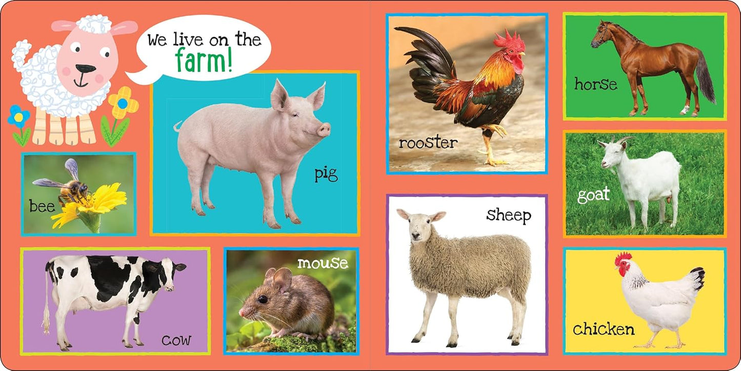 My First 101 Animals - Board Book