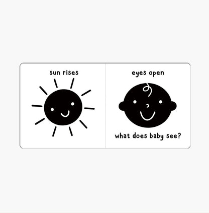 What Does Baby See? - A High Contrast Board Book