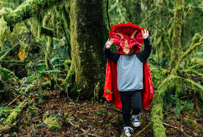 Red Triceratops Hooded Cape - Size 4-5 flexible