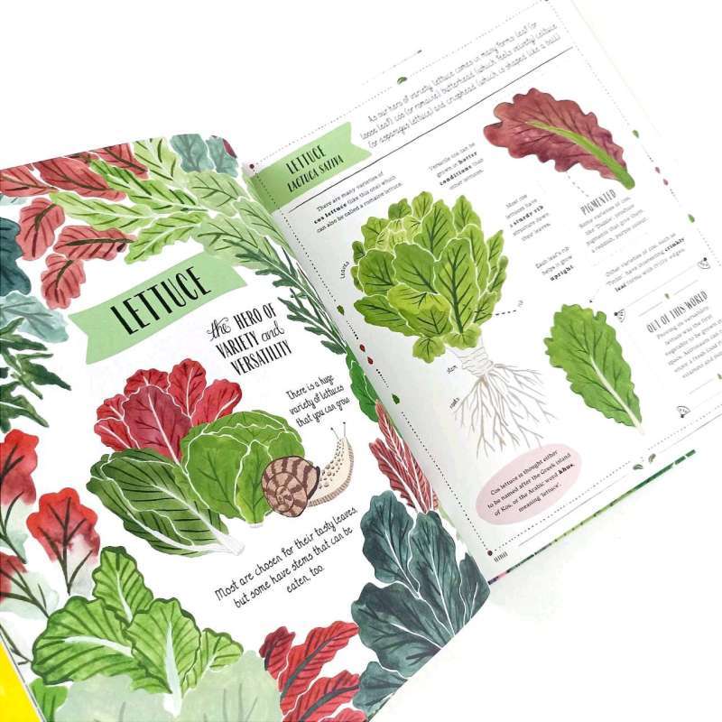 Grow - A Children’s Guide to Plants and How to Grow Them