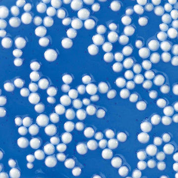 Crazy Aaron's Popp’n Thinking Putty