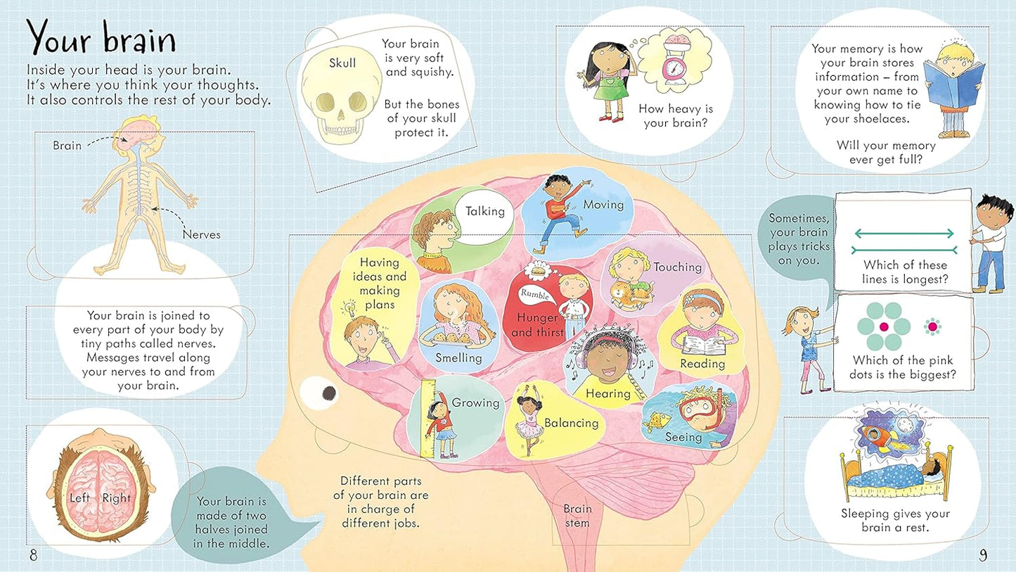 Look Inside Your Body - Lift-the-Flap Book