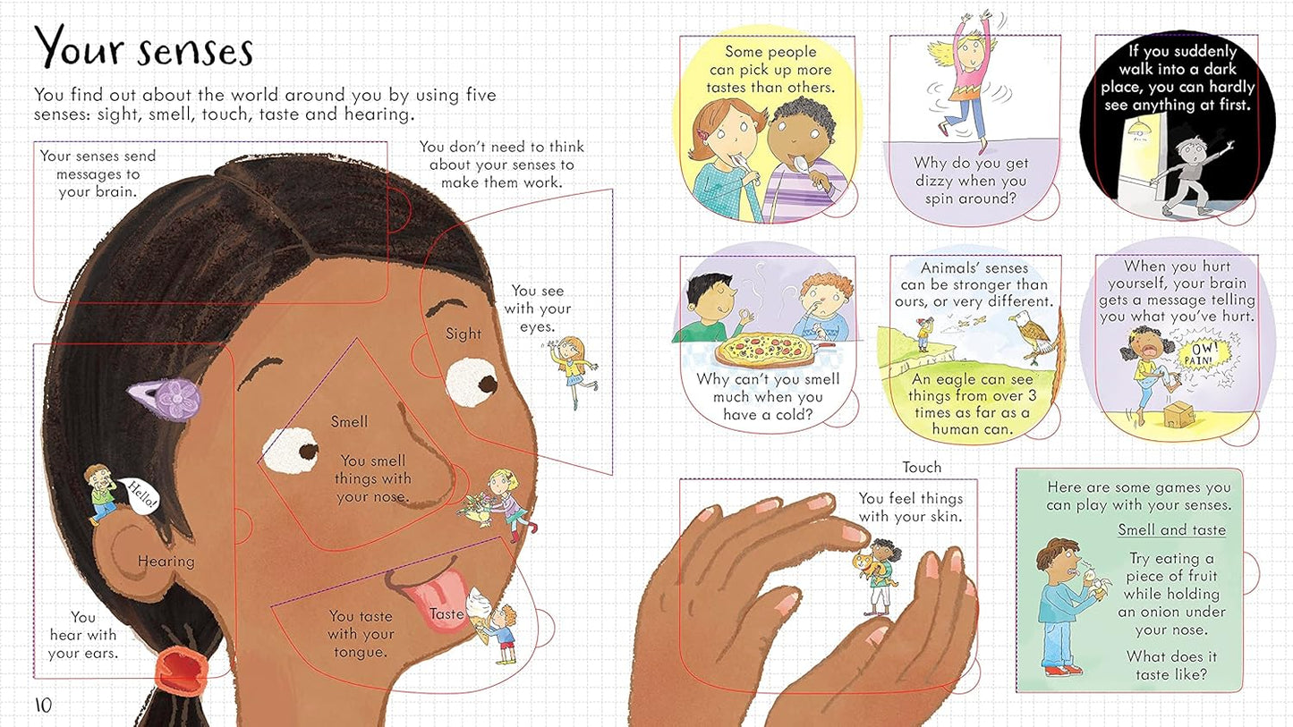 Look Inside Your Body - Lift-the-Flap Book