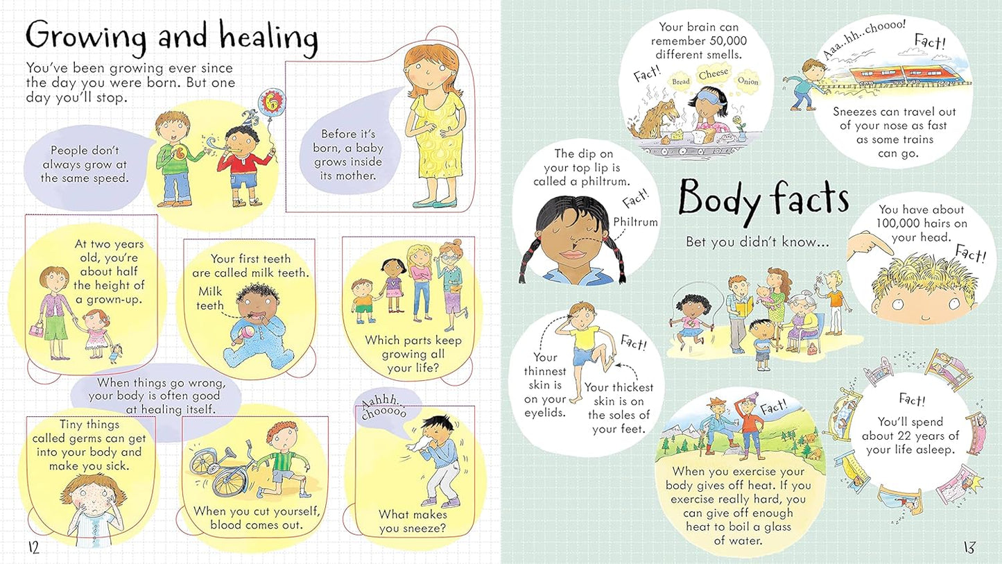 Look Inside Your Body - Lift-the-Flap Book