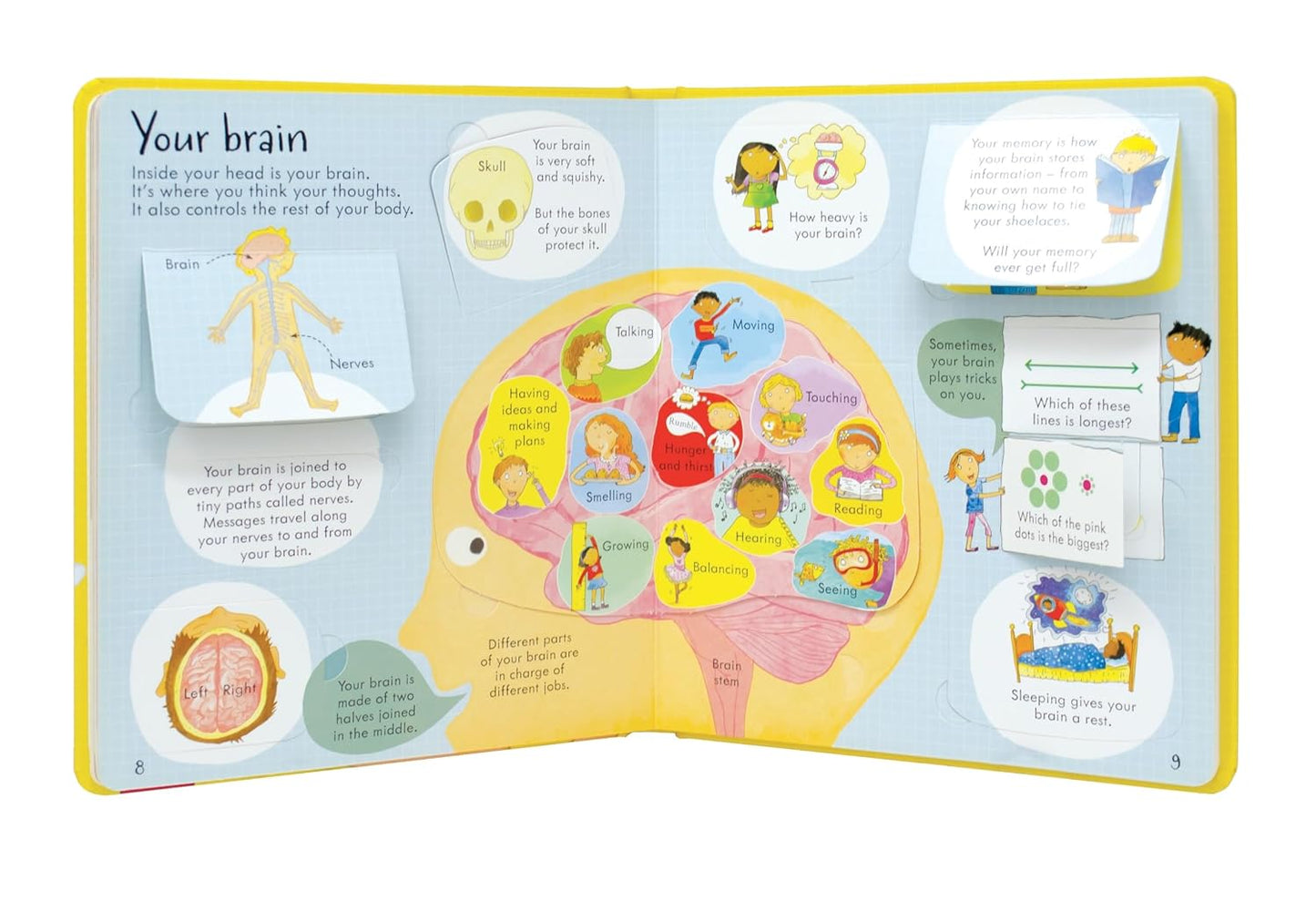 Look Inside Your Body - Lift-the-Flap Book