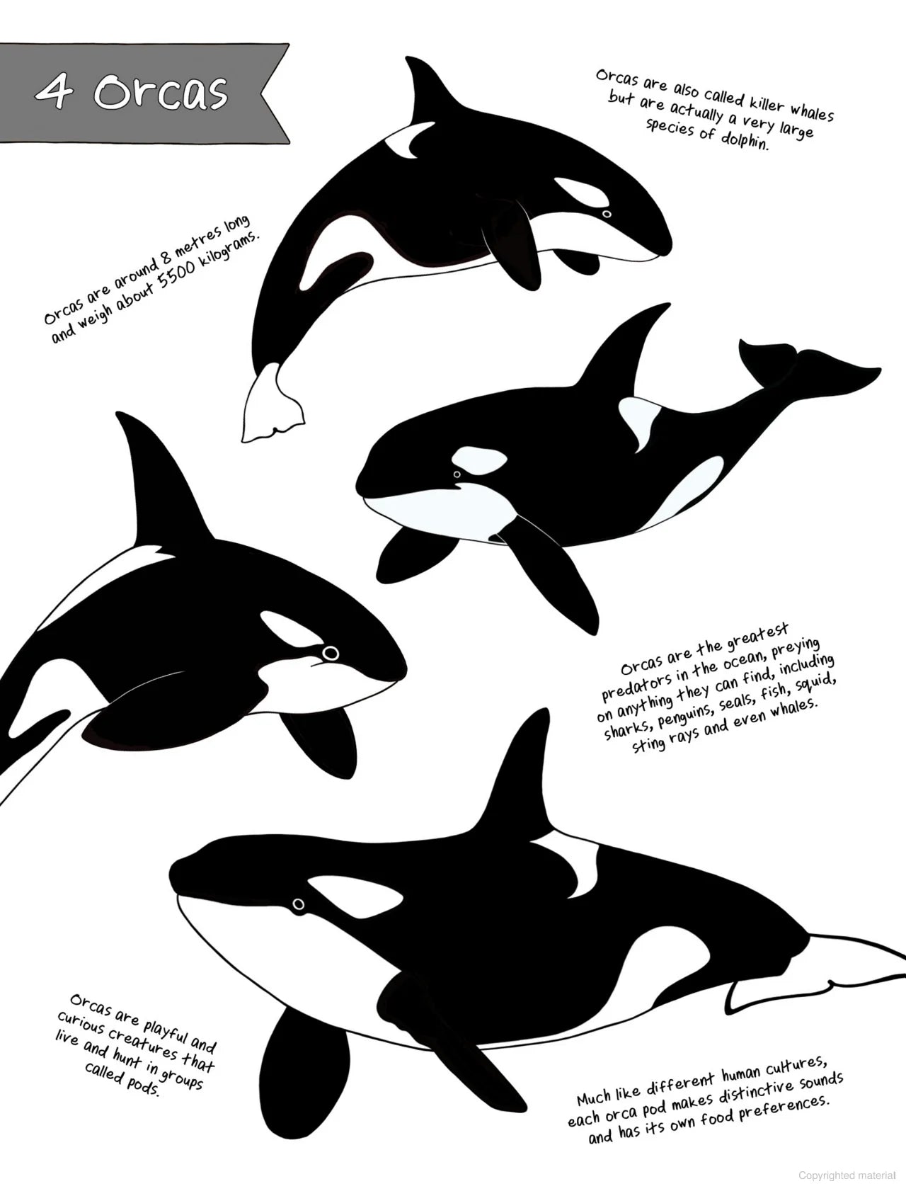 The Ultimate Animal Counting Book