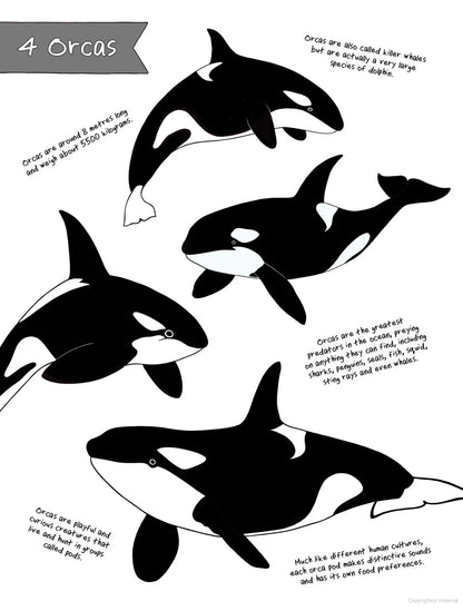 The Ultimate Animal Counting Book