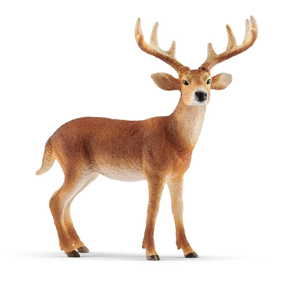 Schleich - White-Tailed Buck