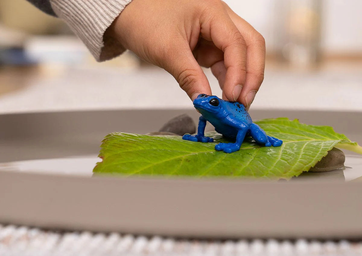 Schleich - Blue Poison Dart Frog