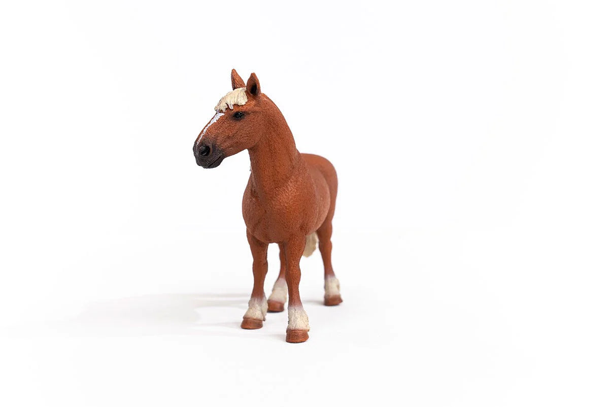 Schleich - Belgian Draft Horse