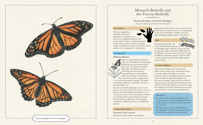 Illustrated Encyclopaedia of Peculiar Pairs in Nature