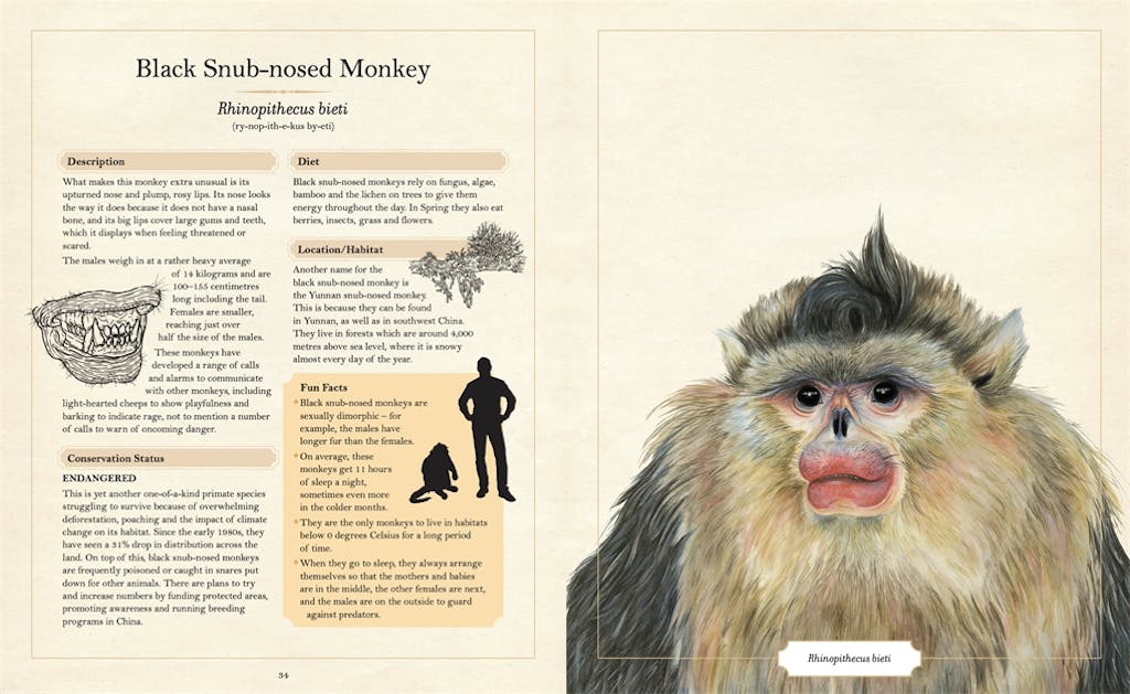 Illustrated Encyclopaedia of Ugly Animals