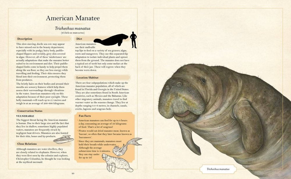 Illustrated Encyclopaedia of Ugly Animals