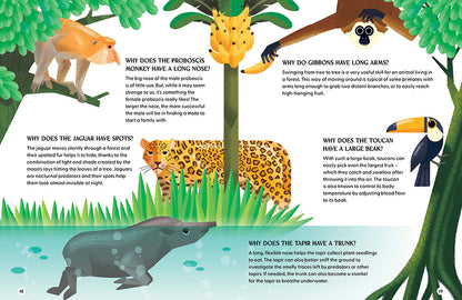 The Curious World of Animals