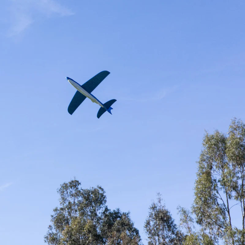 Shark Glider