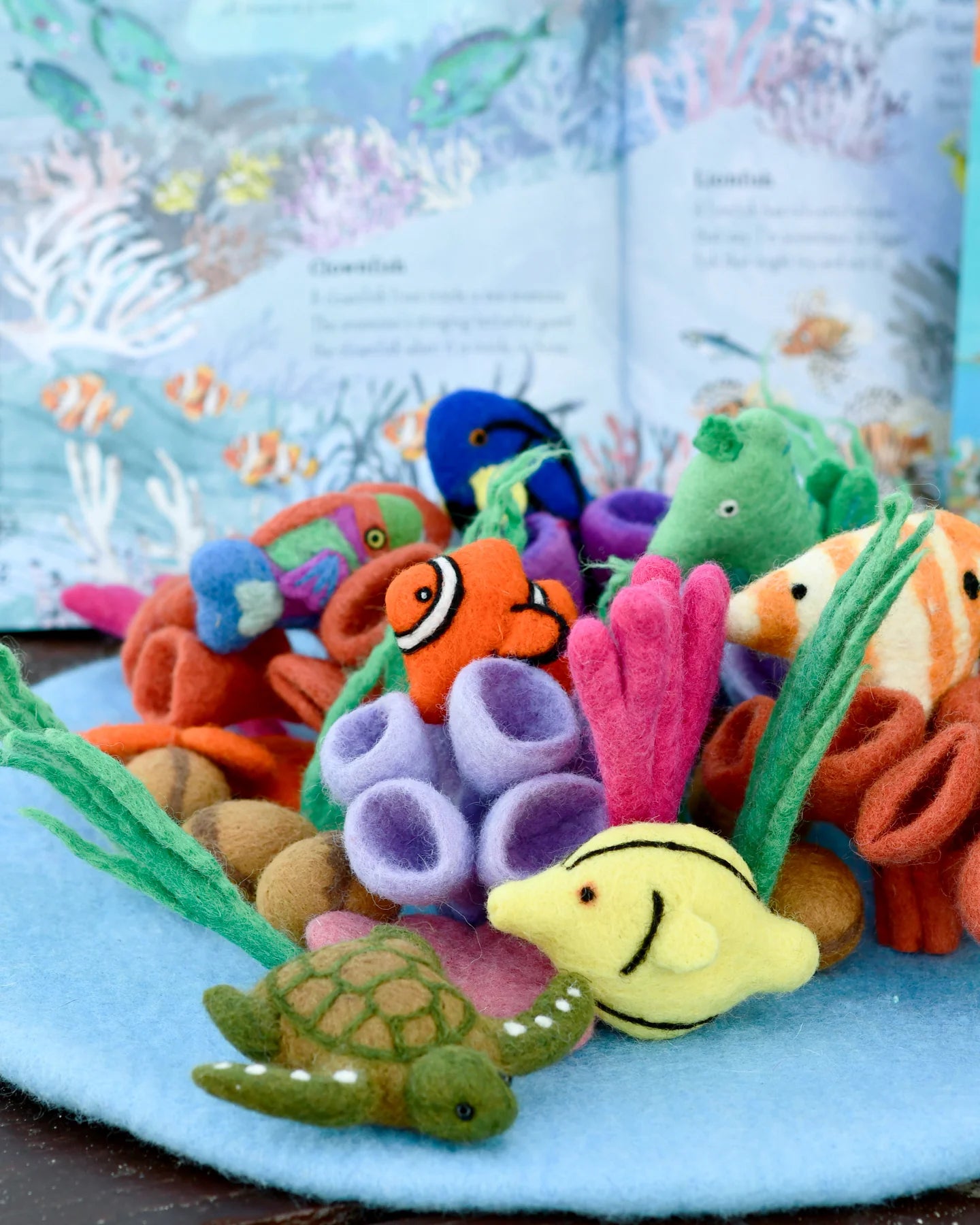 Felt Coral Reef Play Mat Playscape