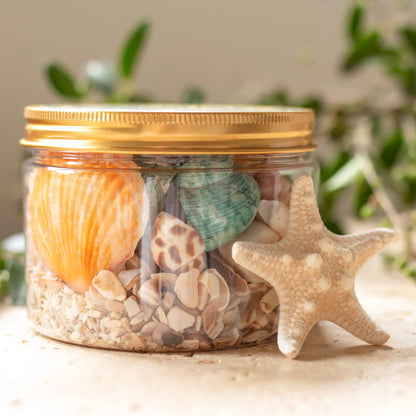 Nature’s Whimsies - Seaside Shells