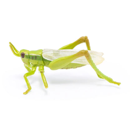 Papo Grasshopper