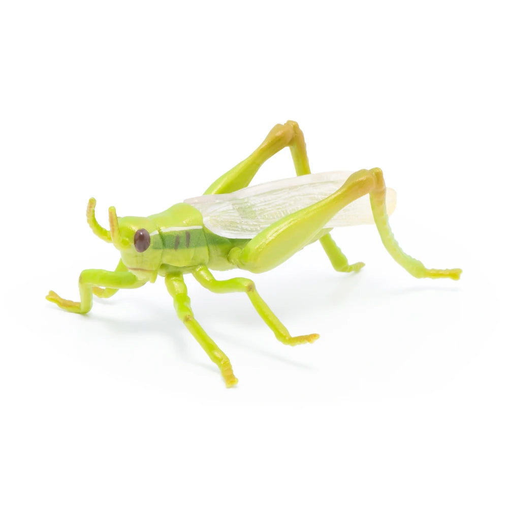 Papo Grasshopper