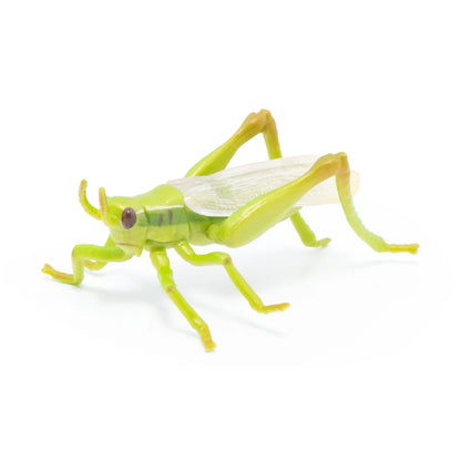 Papo Grasshopper