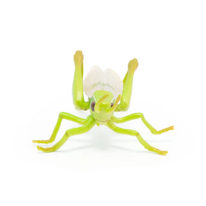 Papo Grasshopper