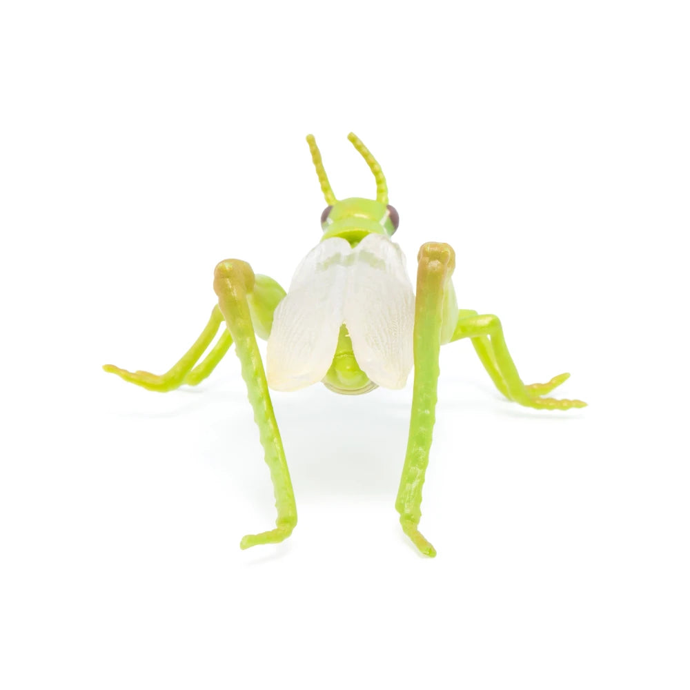 Papo Grasshopper