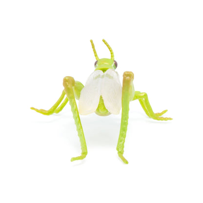 Papo Grasshopper