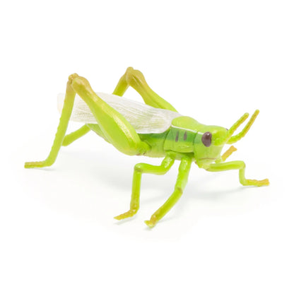 Papo Grasshopper