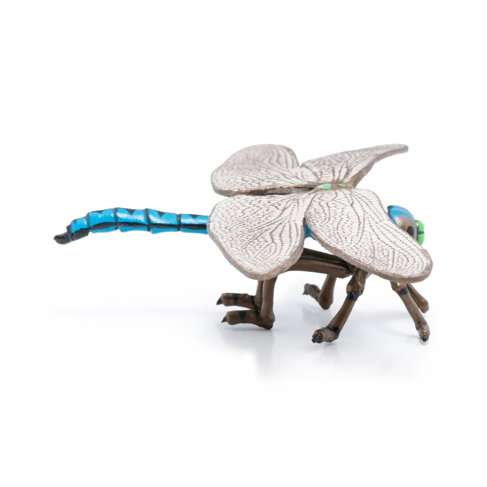 Papo Dragonfly
