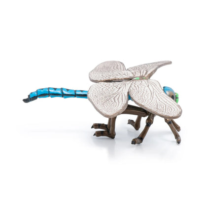 Papo Dragonfly
