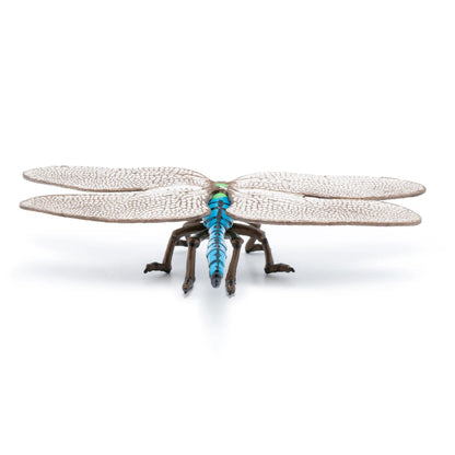 Papo Dragonfly
