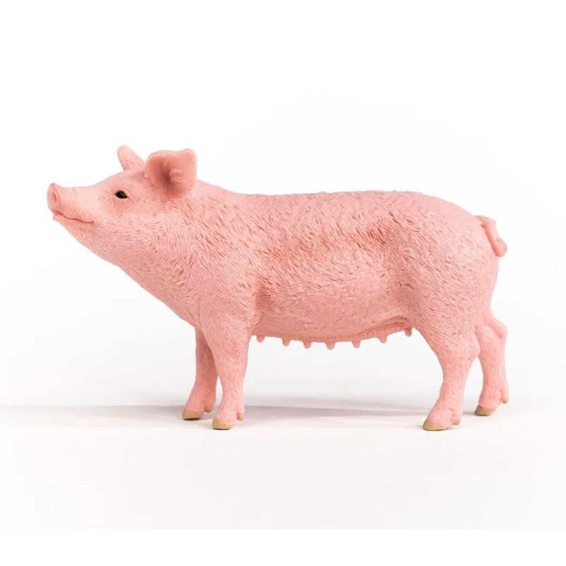 Schleich Pig