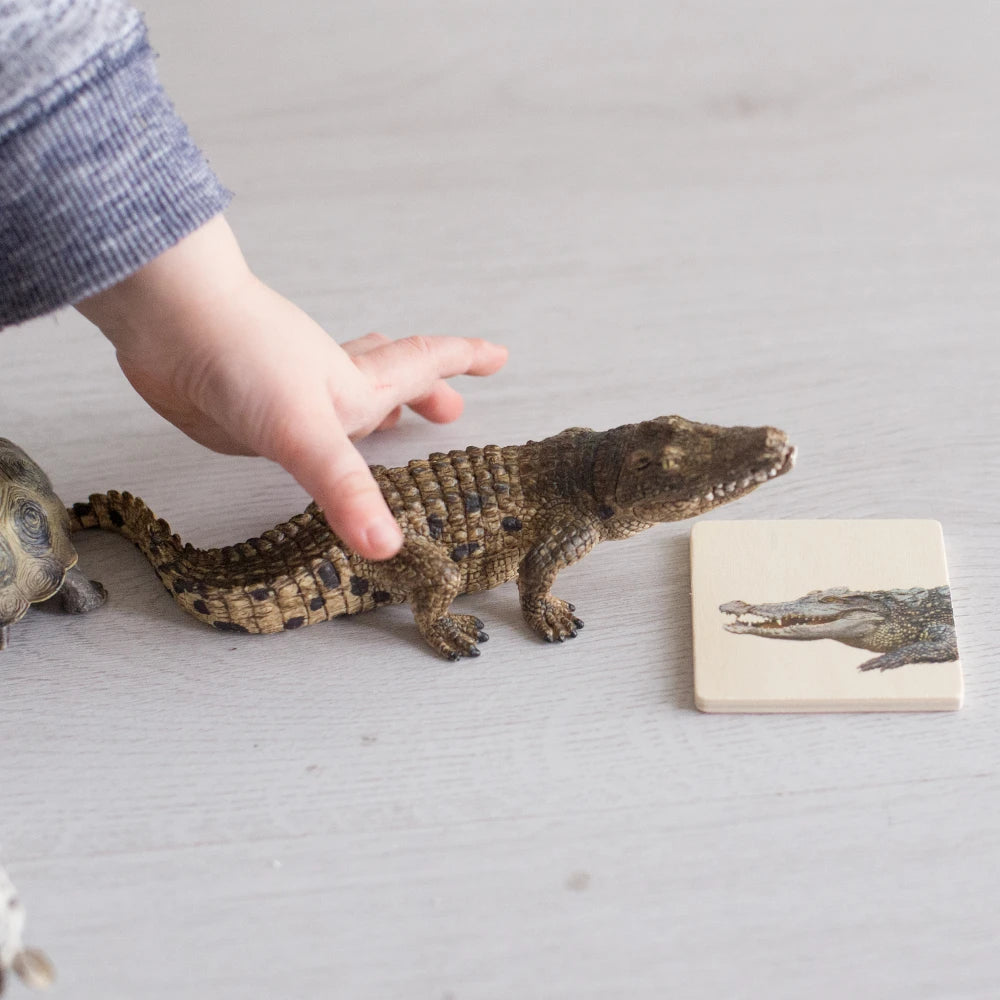 Schleich Crocodile