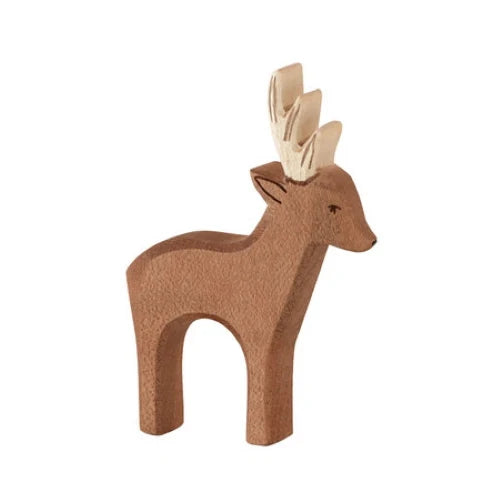 Ostheimer| Roebuck Deer