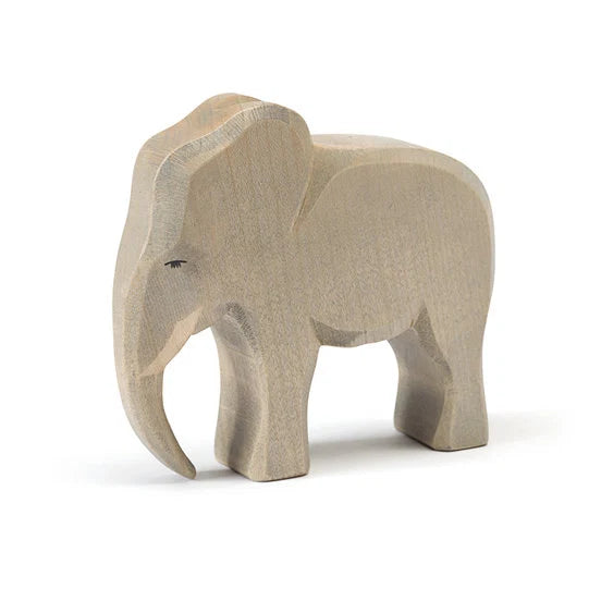 Ostheimer | Elephant | Male