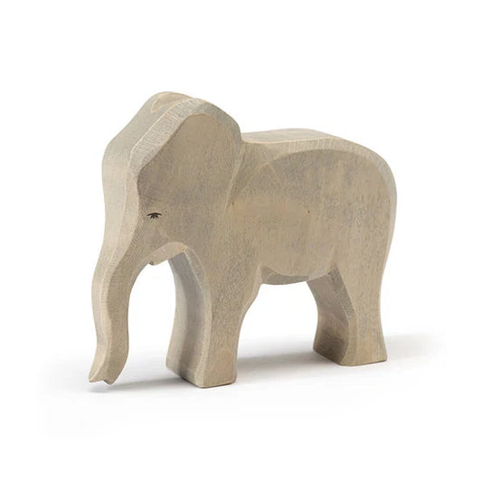 Ostheimer | Elephant | Female