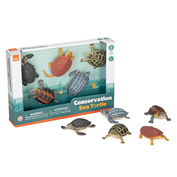 Conservation Box Set Sea Turtles