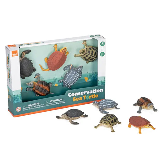 Conservation Box Set Sea Turtles