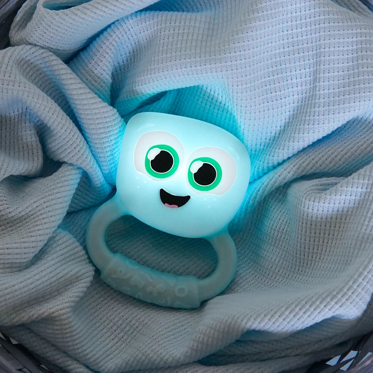 Animal Rattle Light Light Up Rattle – My Small World Adventures