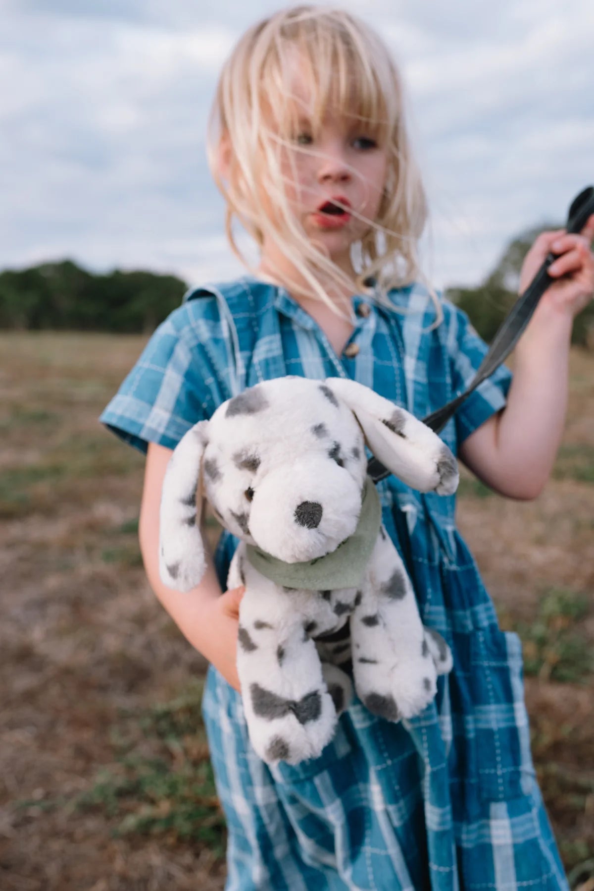Debbie the Dalmatian