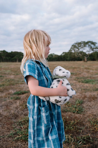 Debbie the Dalmatian