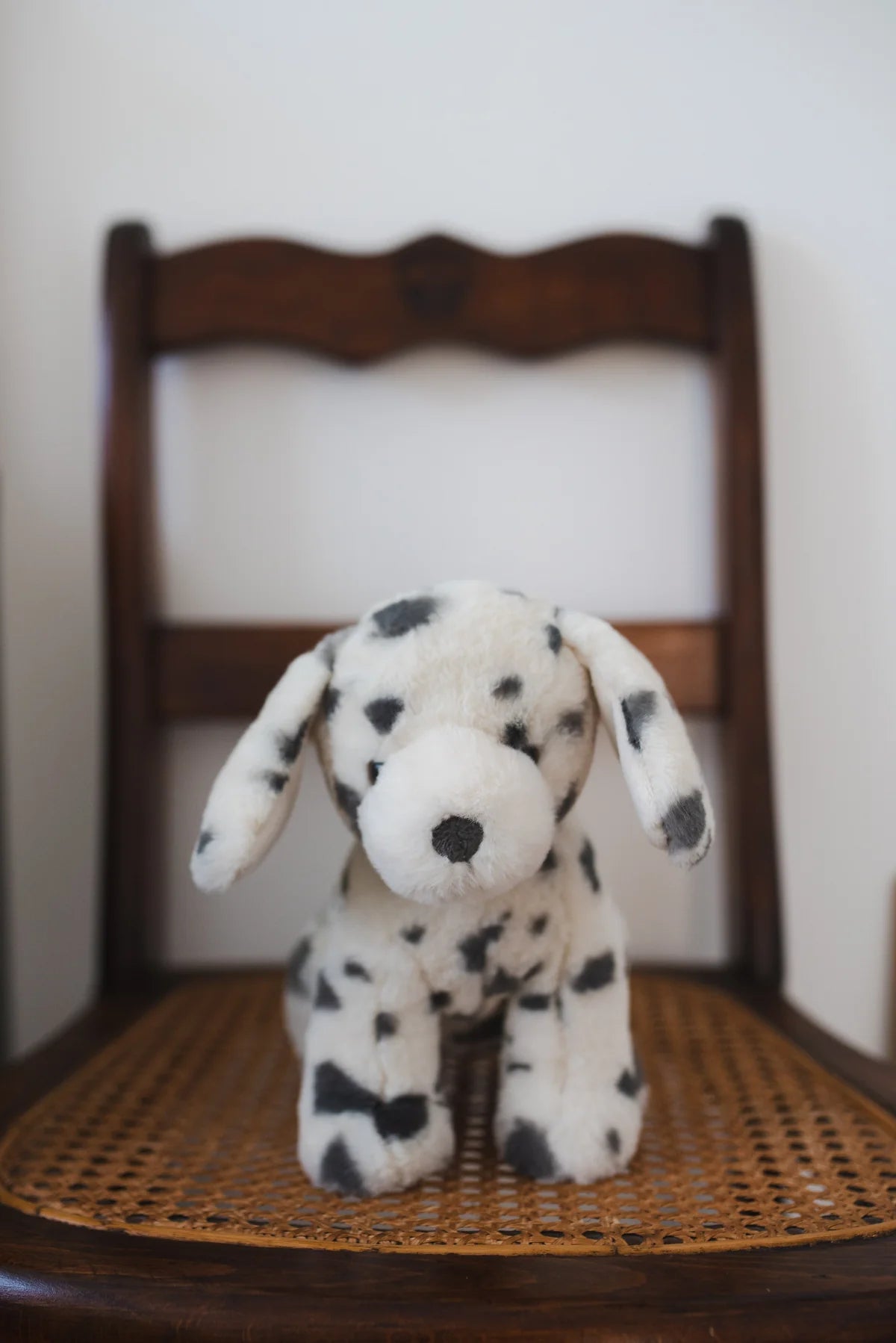 Debbie the Dalmatian